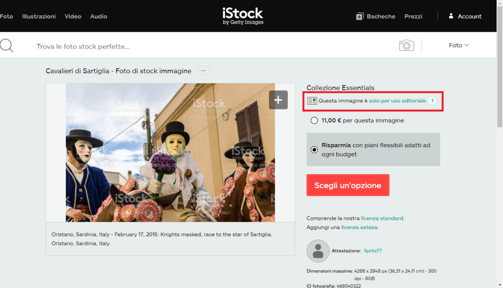 guida immagine copyright selezione