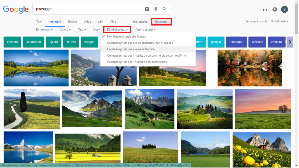 ricerca immagini guida copyright